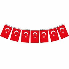 VATAN BAYRAK İPLİ MİNİ VATAN BAYRAK 10 X 6 CM (25 Lİ)