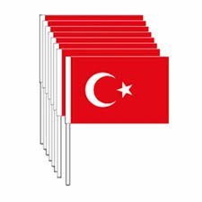VATAN BAYRAK BÜYÜK ÇITALI KAĞIT BAYRAK (40 LI)